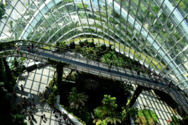 Plants and pathways inside a large glass building.